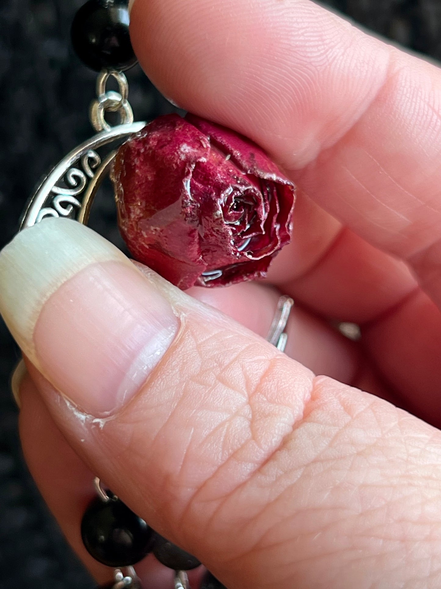 Red rose witch bells, please read
