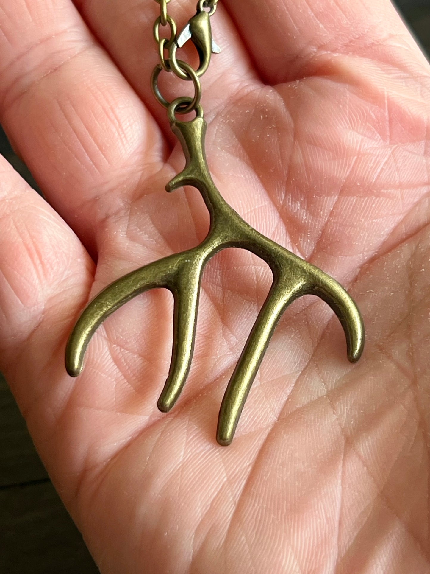 Bronze antler car charm