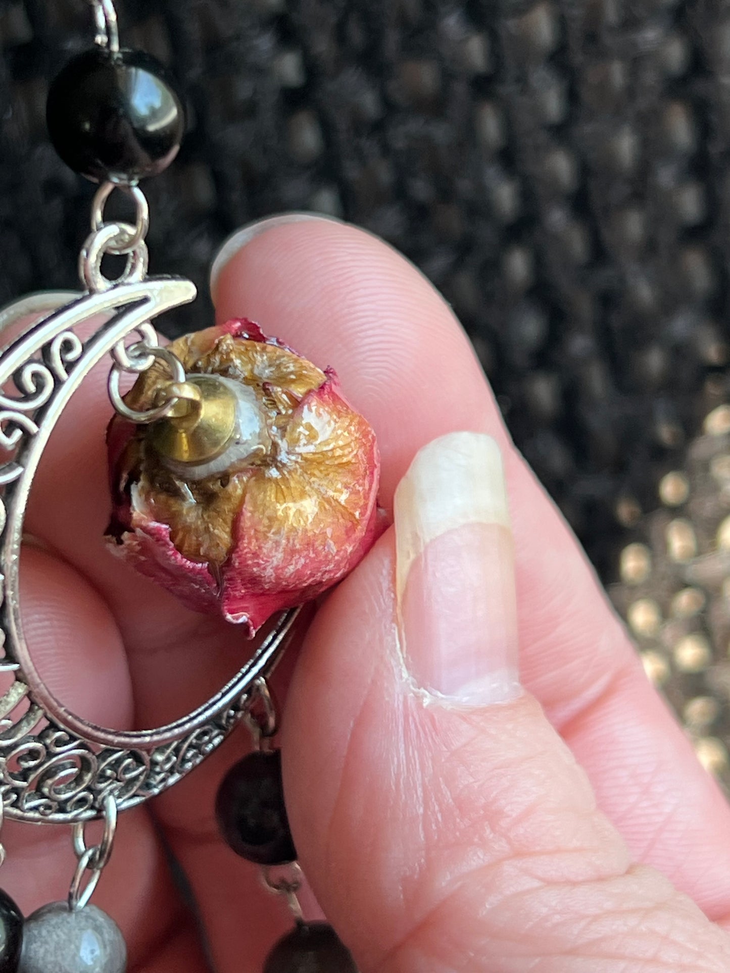 Red rose witch bells, please read