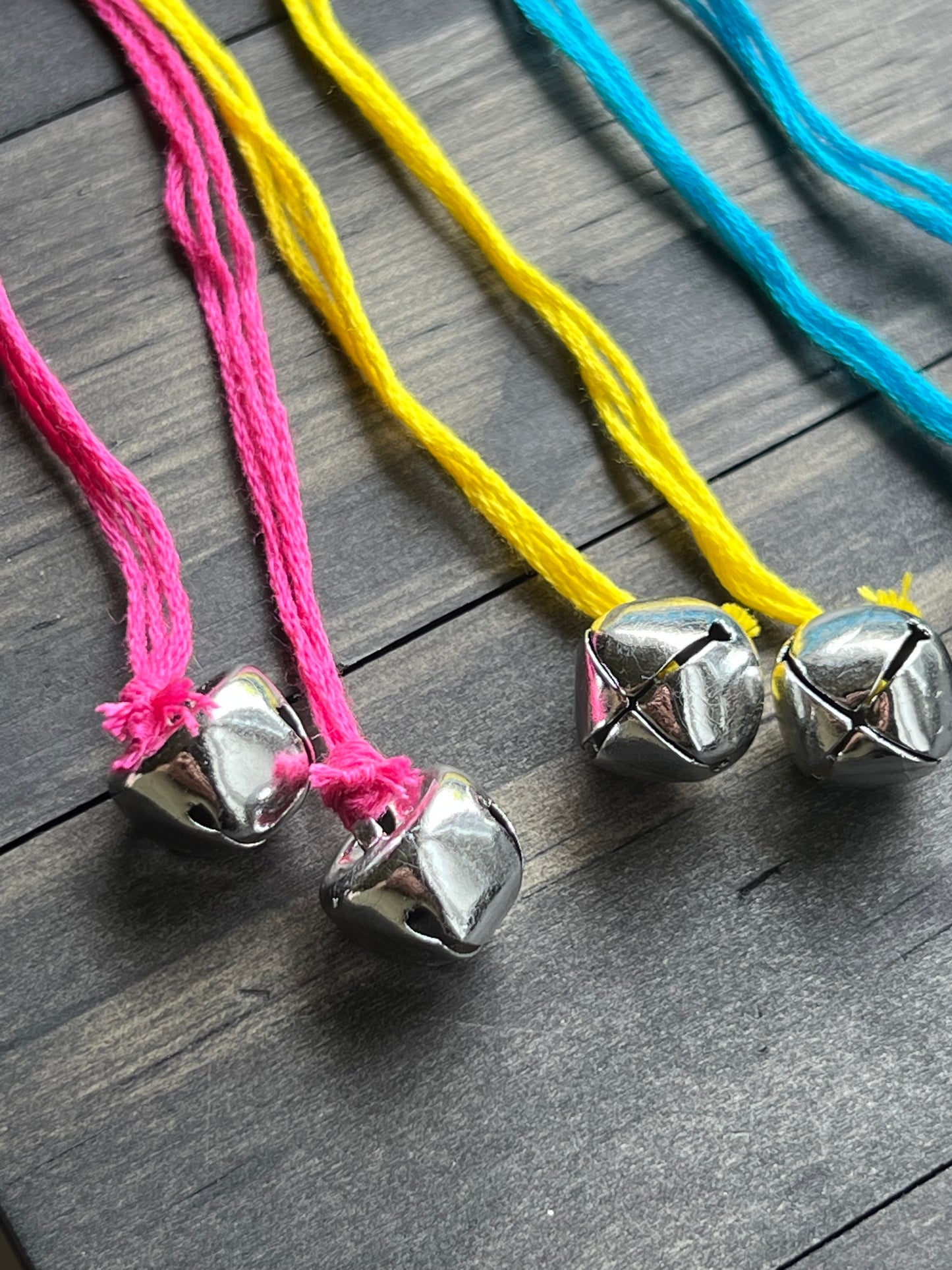 Pansexual pride flag witch bells