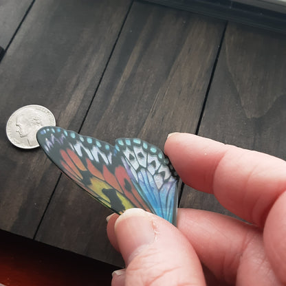 Holographic butterfly wing suncatcher or car mirror hanger