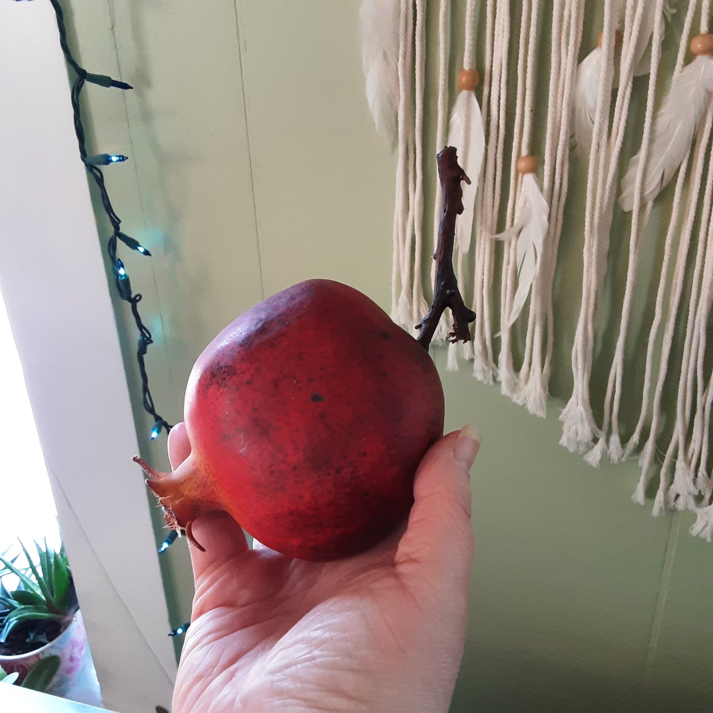 Pomegranate with branch