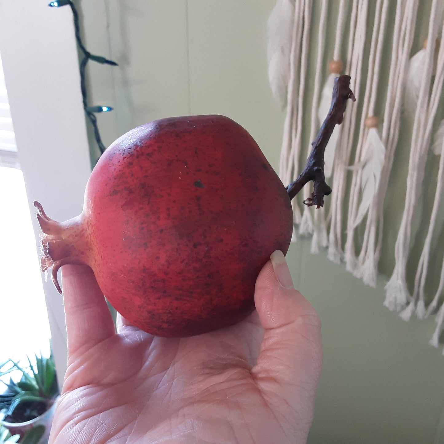 Pomegranate with branch