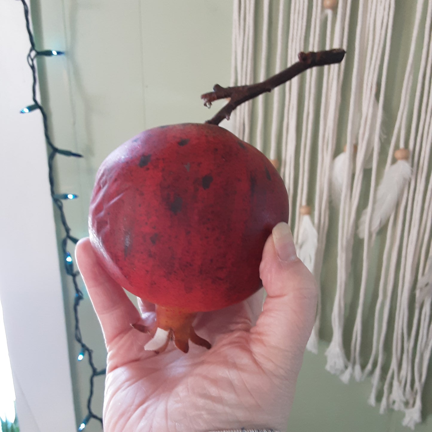 Pomegranate with branch